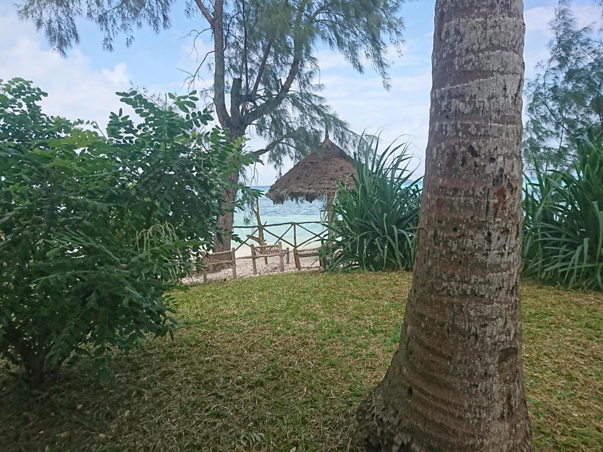 Coco Reef Ecolodge Kizimkazi Exterior photo